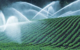 How to Spot and Fix Common Irrigation System Problems